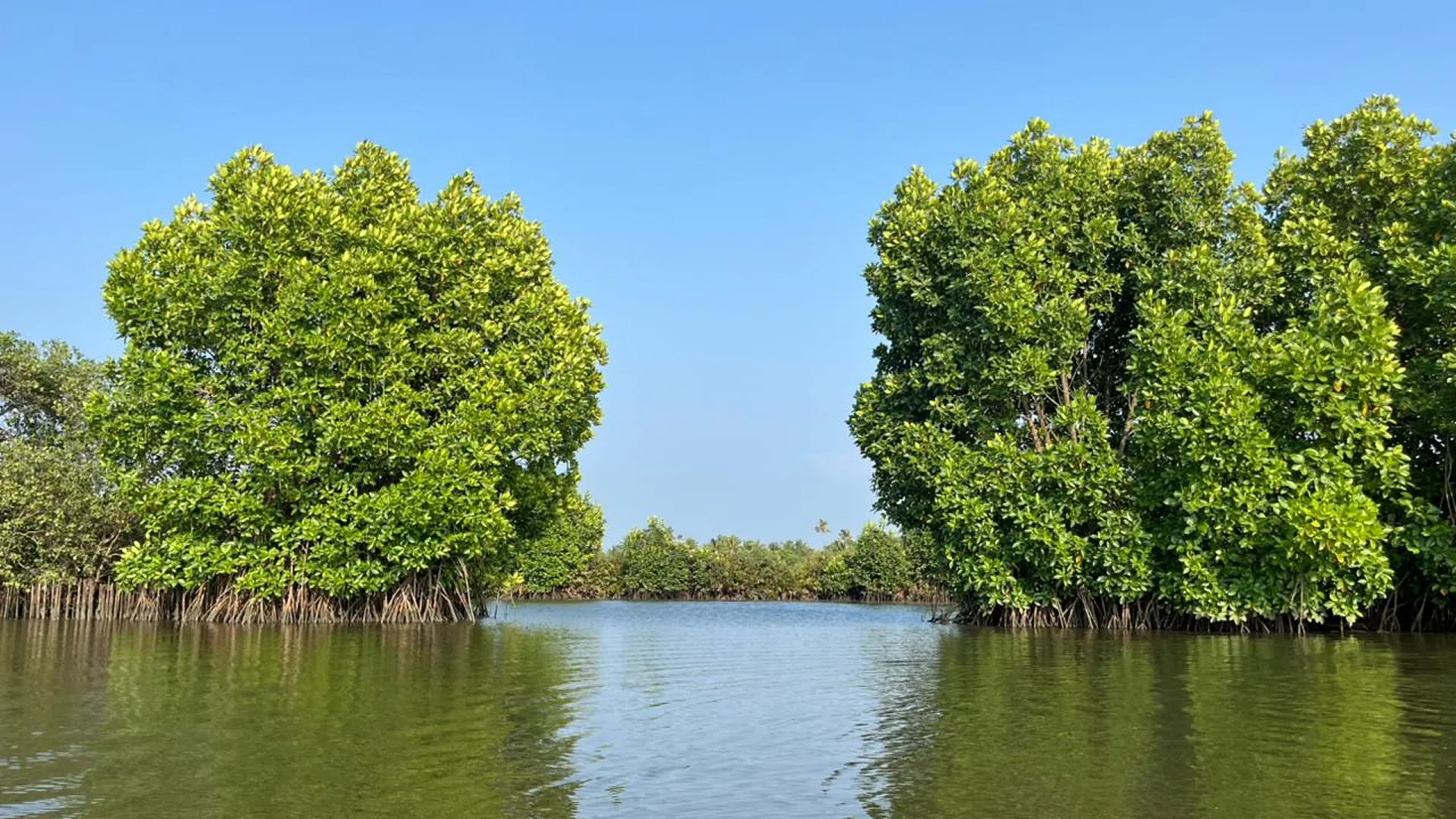 How to Book the Best Kayaking Experience Near Kochi Without Overthinking!