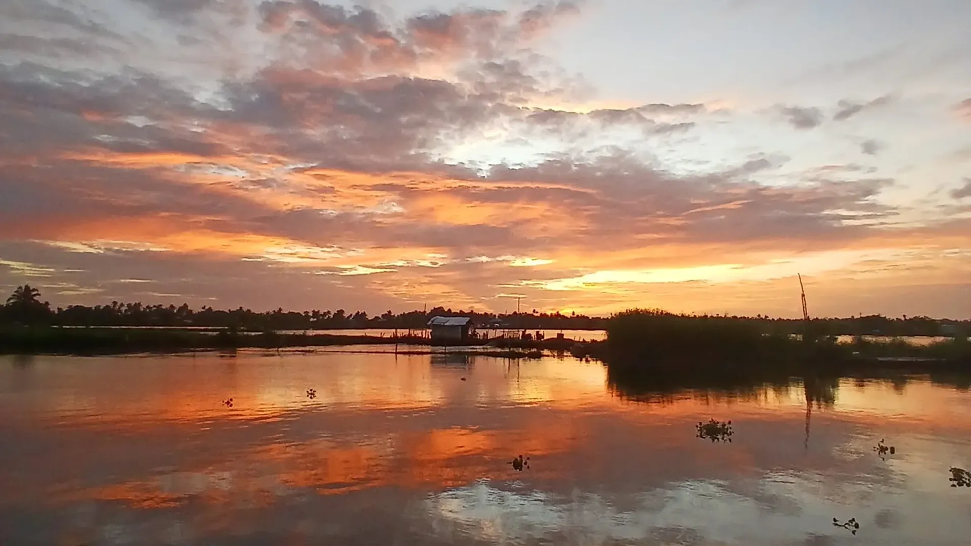 How to Reach Kadamakkudy for Kayaking (From Kochi, Ernakulam, and Airport)