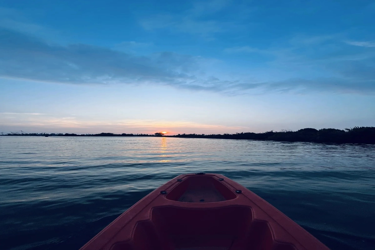 Sunrise or Sunset Kayaking in Kochi? Here’s How to Choose the Perfect Experience