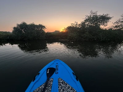 Hidden Places in Kadamakkudy You Can Explore by Kayak!